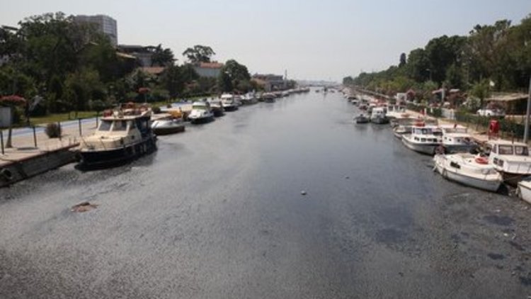 İşte Kurbağalıdere gerçeği