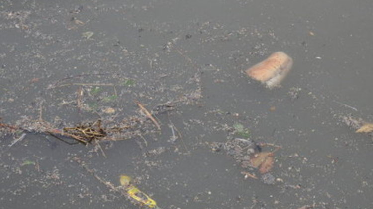 Kurbağalıdere'de yine başa dönüldü