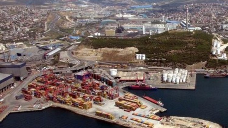 Mahkeme ağaç kesimini durdurdu