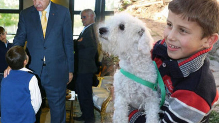 Hayvansever Ömer'e Cumhurbaşkanı köpek hediye etti 