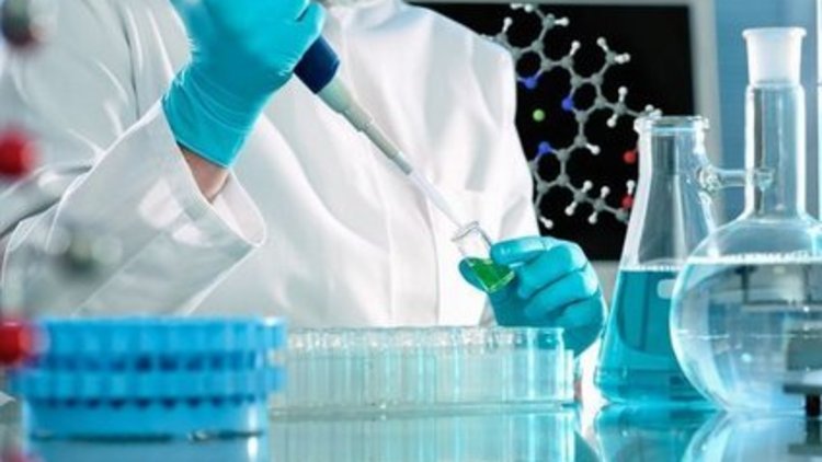 Kök hücre naklinde yeni umut 