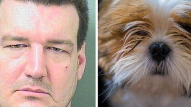 Köpeği ısırdı, hapis cezası aldı