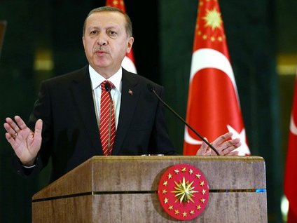 Gebelikte Riboxin: uzmanların görüşü 86