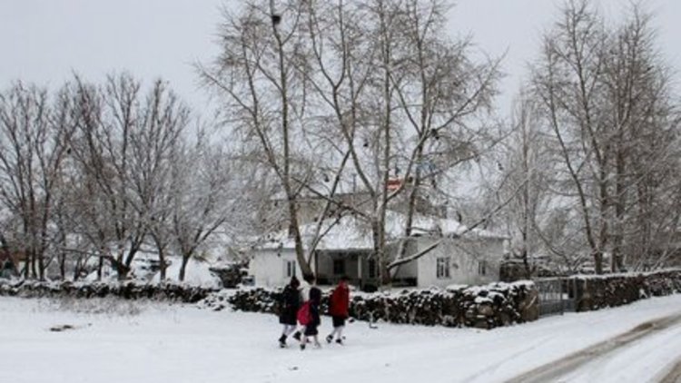 Kar doğuda etkisini gösterdi