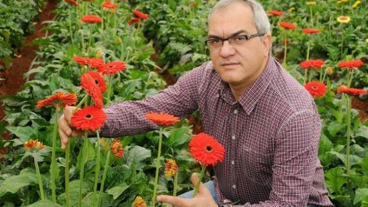 Jet krizi çiçekçileri de etkiledi