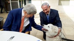 Netanyahu'nun köpeği konukları ısırdı