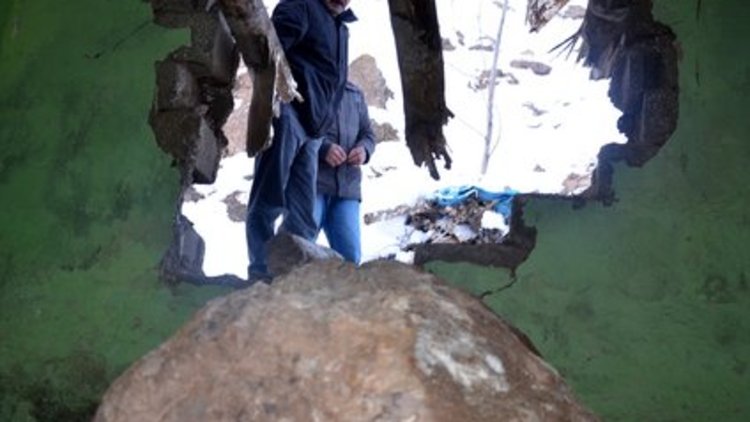 'Dağ'vetsiz misafir!