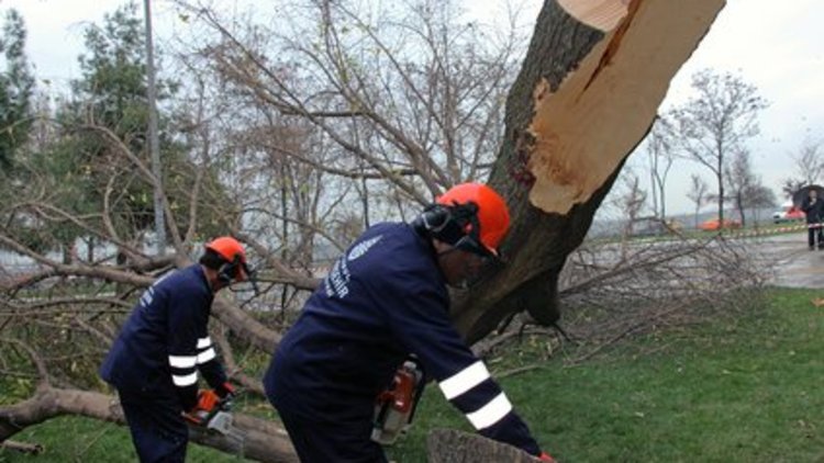 Bilanço 1300: Teke'r teker öldürüyor
