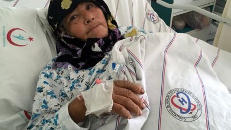 Adana'da ağaçtaki kadını kuş sanıp vurdular