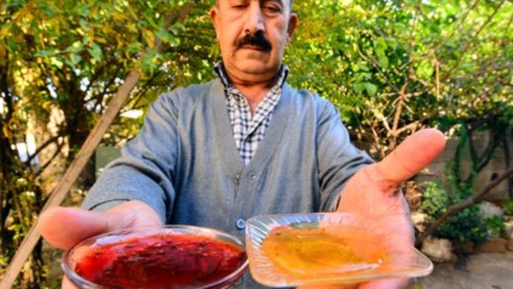 Bu da kırmızı bal!