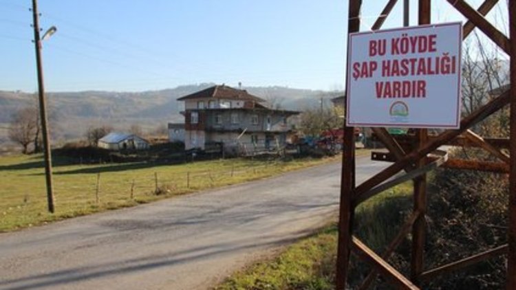 Şap paniğine yeni halka: Zonguldak 