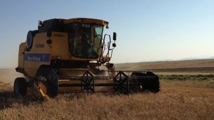 Krizde &#039;tahıl&#039; yumuşaması