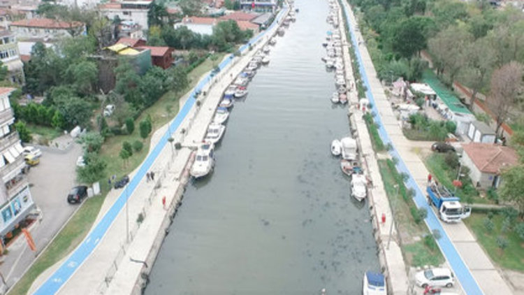 Kurbağalıdere yeşilleniyor