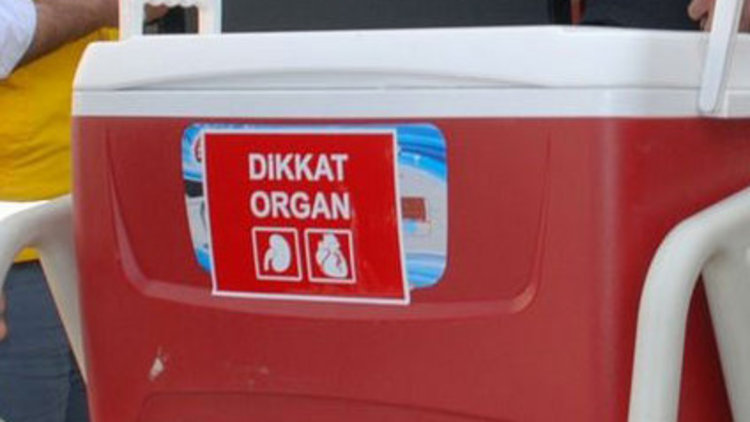 Akraba dışı organ nakline izin