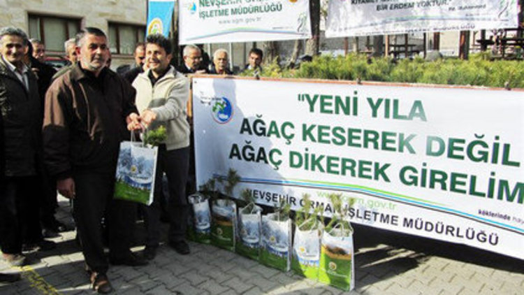 Süs senden, çam fidanı devletten!