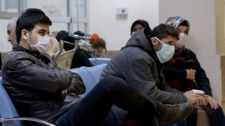 Domuz gribinden ölenlerin sayısı artıyor