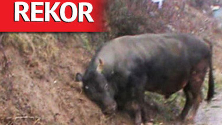 ÖYLE BİR FİYATA SATILDI Kİ