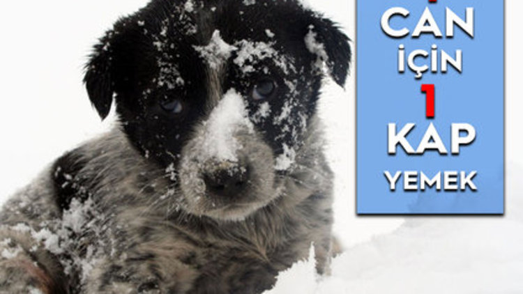 DİKKAT! ÇOK ÜŞÜYORLAR