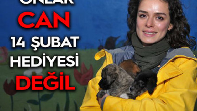 &#039;SATIN ALMA, SAHİPLEN&#039;