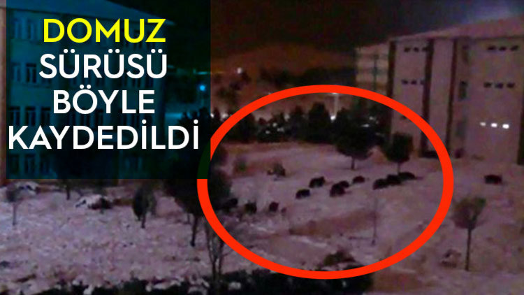 AÇ KALINCA ÜNİVERSİTEYE KOŞTULAR