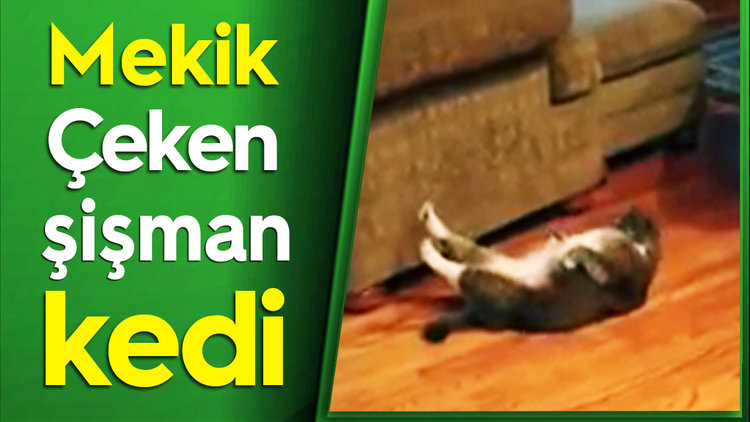 HİT OLDU