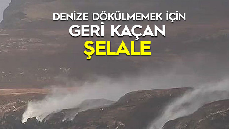İŞTE NEDENİ