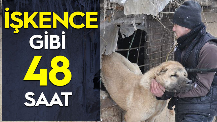 KURTARILMAYI BEKLEDİ