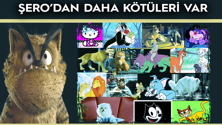 BU KEDİLER BİLDİĞİNİZ GİBİ DEĞİL