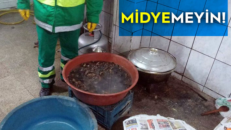 MERDİVENALTI DOLMA OPERASYONU