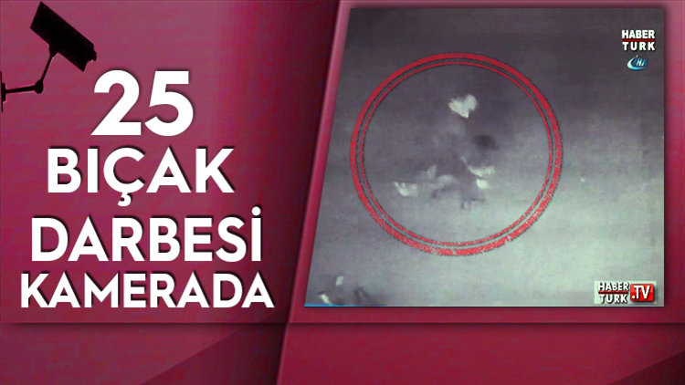 PARK ETTİ, EVE GİRİYORDU