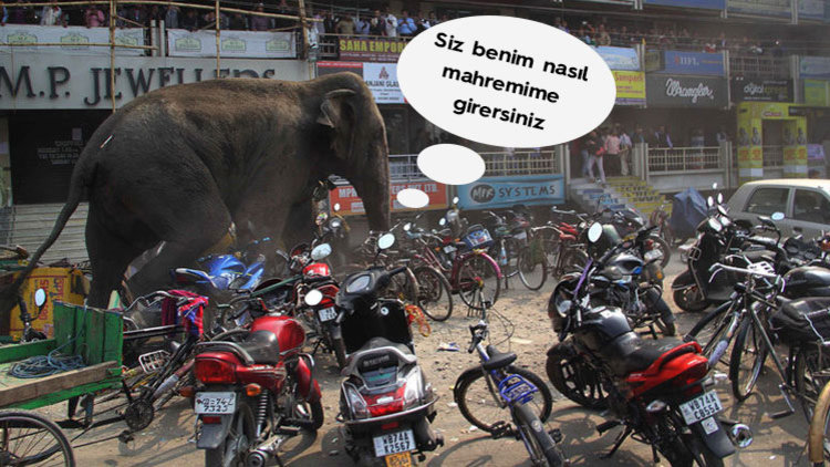 KÖYE DALDI 100 EVİ YIKTI