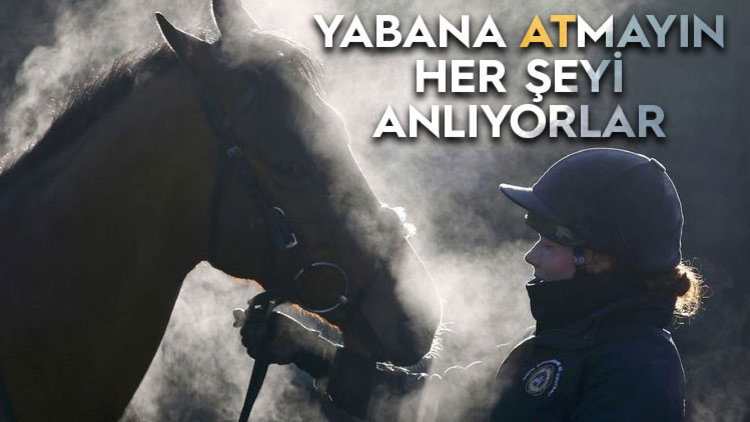 ATLAR DUYGULARI HİSSEDİYOR