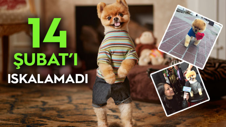 2.1 MİLYON TAKİPÇİSİ VAR