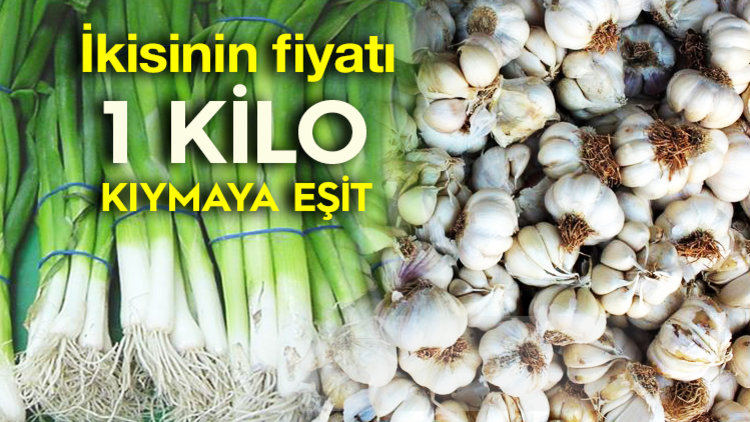 PAZARDA REKORA KOŞUYOR