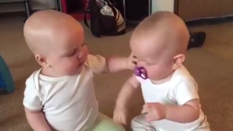 İKİZLERİN EMZİK SAVAŞI