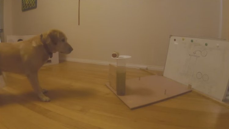 ÇORBA İÇİN FİZİKÇİ OLDU