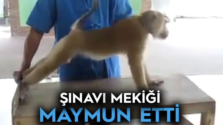 ZALİMCE TARTIŞMASI