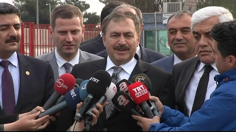 Bakan Eroğlu'dan Cerattepe açıklaması