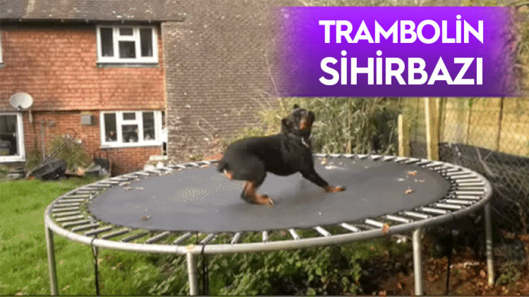 İZLERKEN BAŞINIZ DÖNECEK