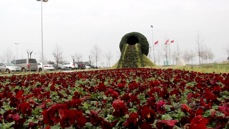 Dünya'nın en büyük çiçek şelalesi