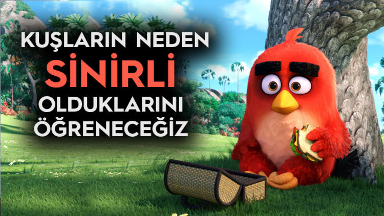 ANGRY BIRDS'TEN YENİ FRAGMAN