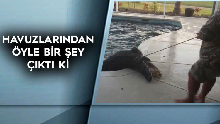 GOLF TOPU SANDIĞI TİMSAHMIŞ