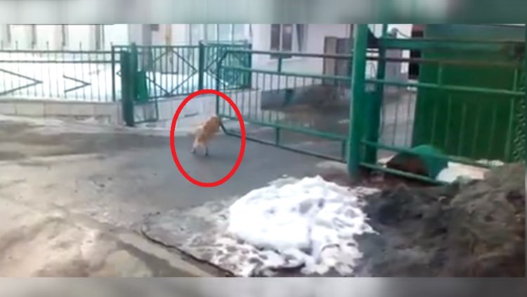 Garaj kapısı ondan sorulur