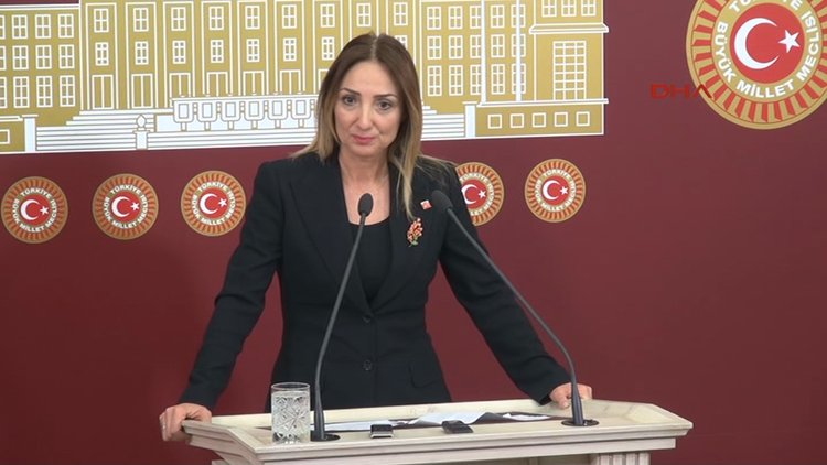 Aylin Nazlıaka'nın açıklamaları