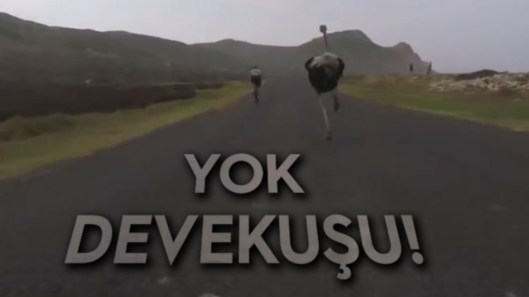 SAATTE 50 KM  HIZLA KOŞTU