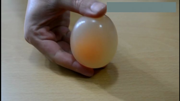 Yumurta topu nasıl yapılır?