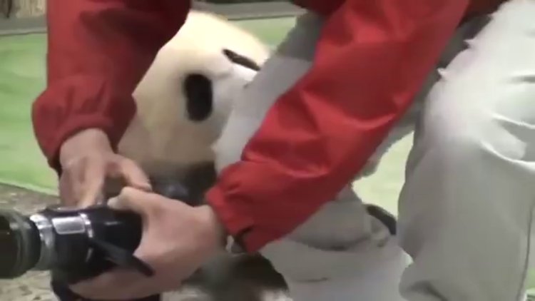 Fotoğrafçıya saldırdı