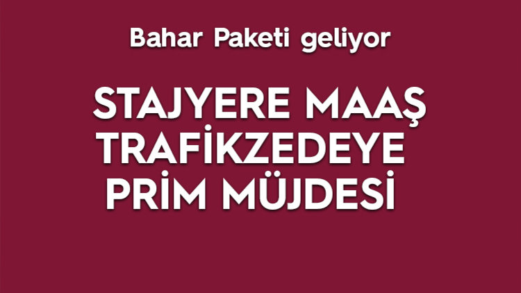 YENİ REFORMLAR MECLİS&#039;TE