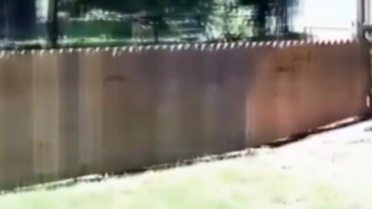 Köpeği kaçmasın diye duvar ördü ama