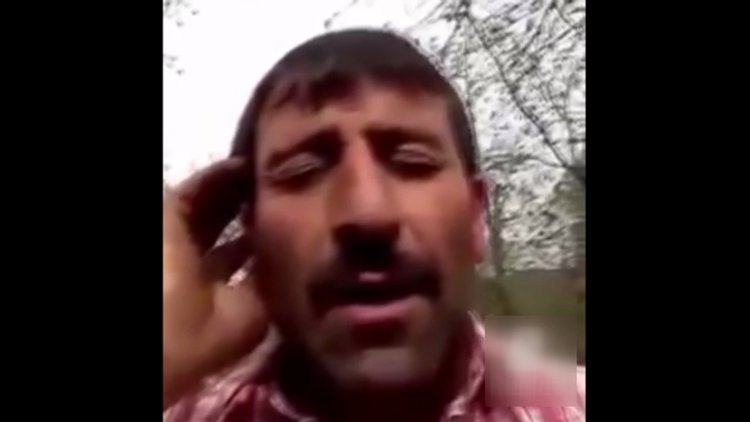 Fındığın selası